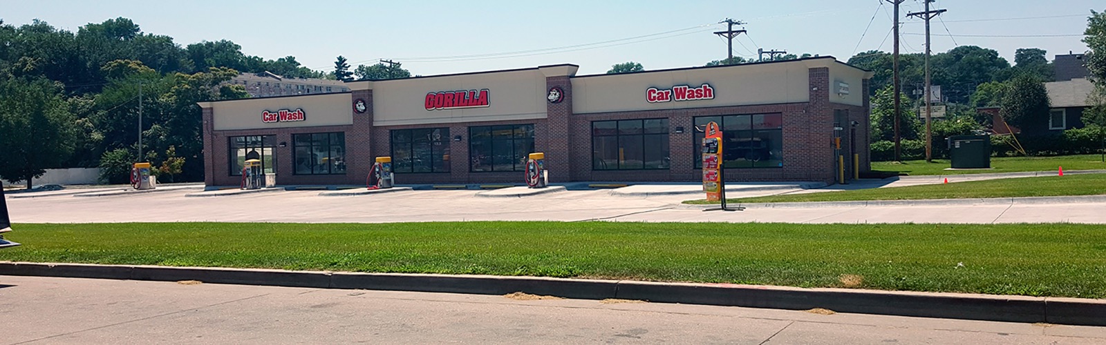 Gorilla Wash